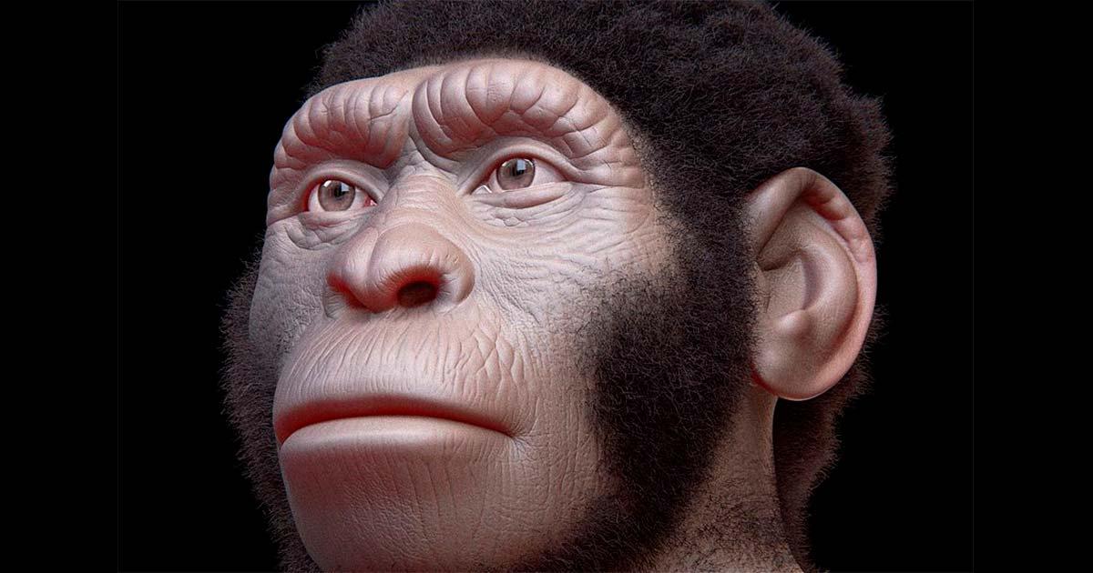 Homo Naledi facial reconstruction. Source: Cicero Moraes / CC by SA 4.0.