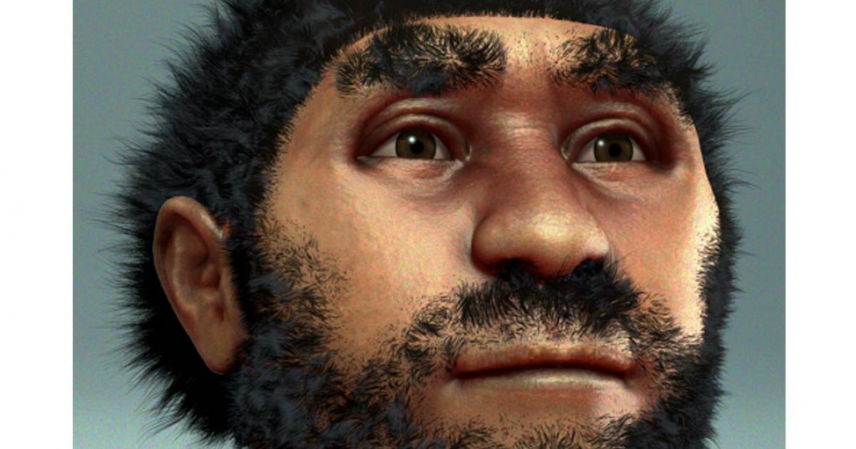 Forensic facial reconstruction of Homo erectus pekinensis, commonly known at Peking Man.