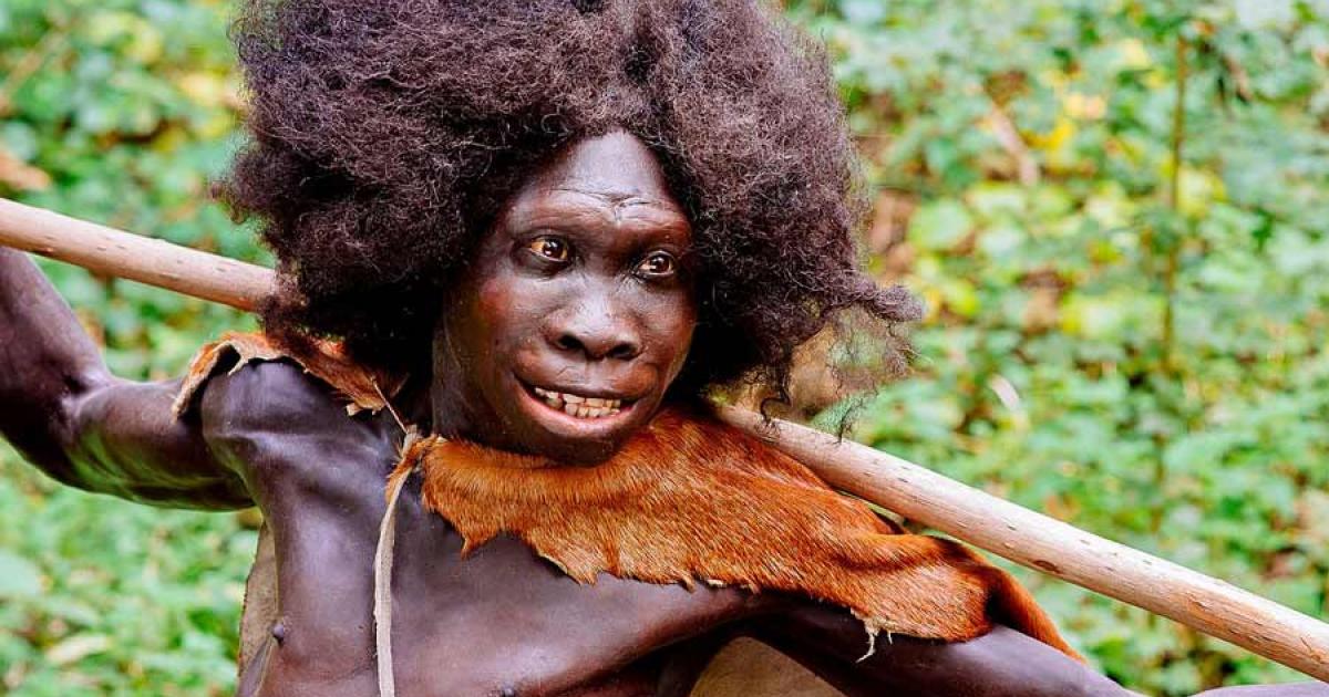 Reconstruction of the Homo erectus Turkana Boy from the Nariokotome, Kenya site, exhibited in the Neanderthal Museum in Erkrath, Germany. 