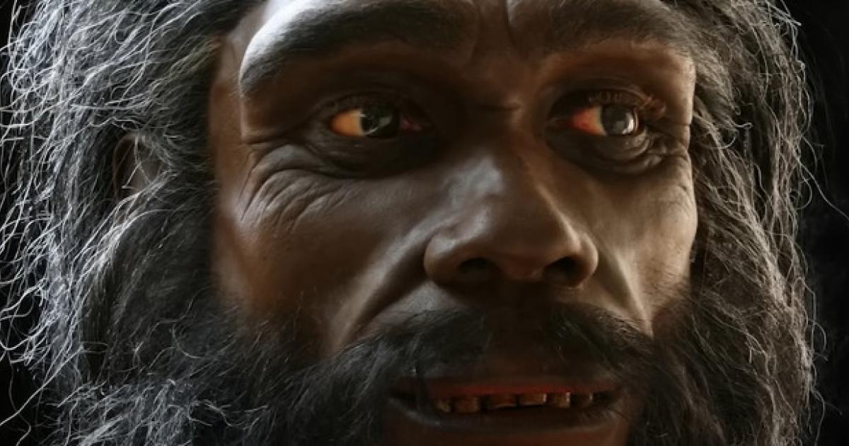 Homo habilis: The Very First Species of Human (Video) | Ancient Origins