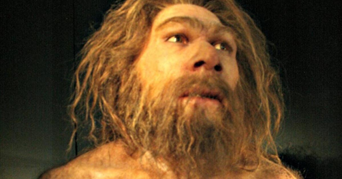 Reproduction of Homo neanderthalensis. Museum of Human Evolution (MEH), Burgos, Spain.