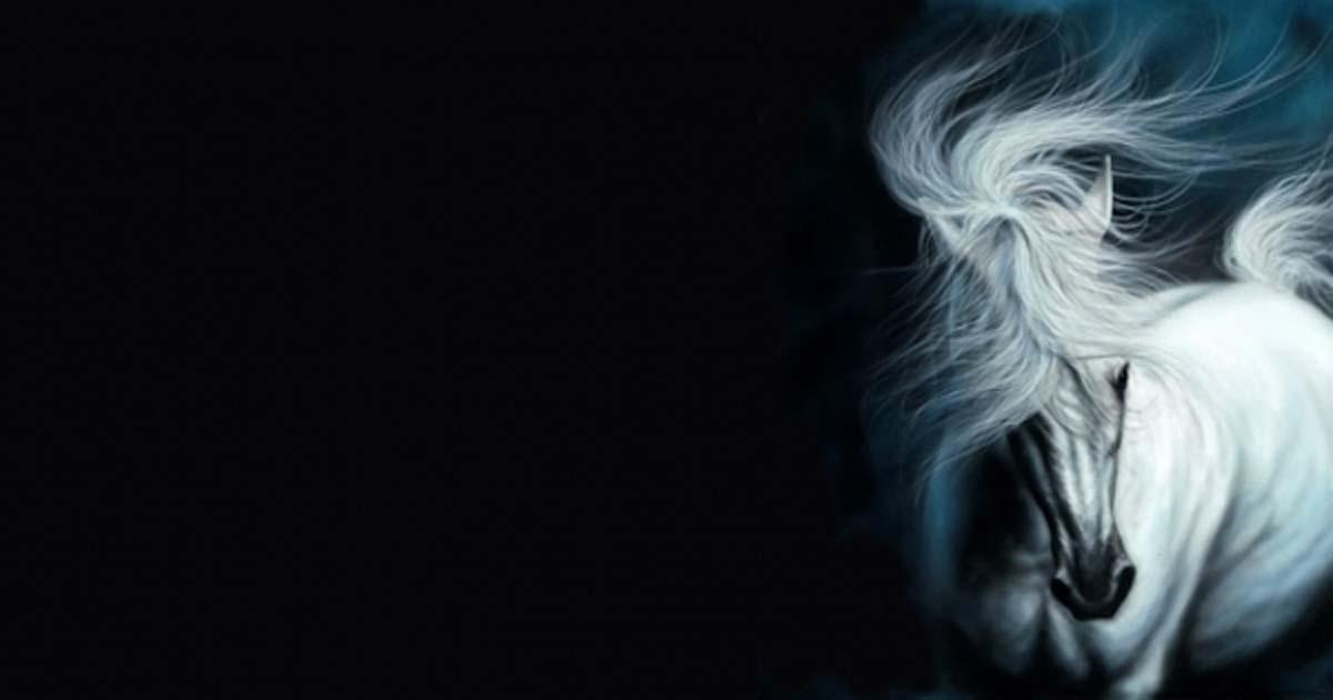 White Horse by Tom274 / DeviantArt