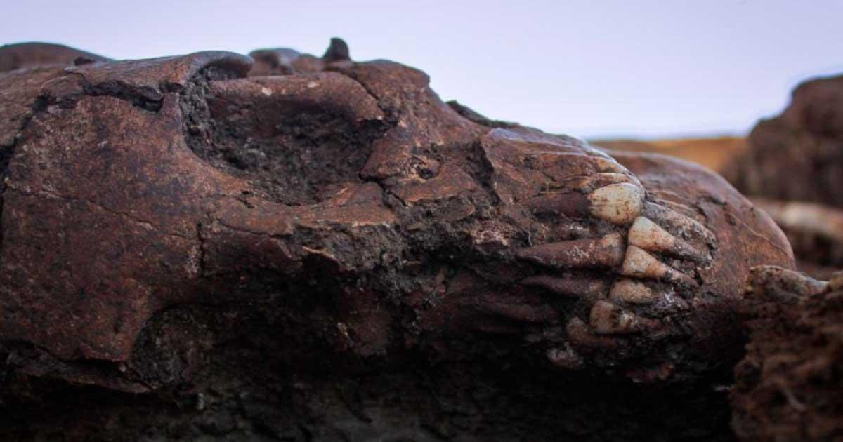 Human remains of the burials found of the Huastec people of Mexico. Source: INAH