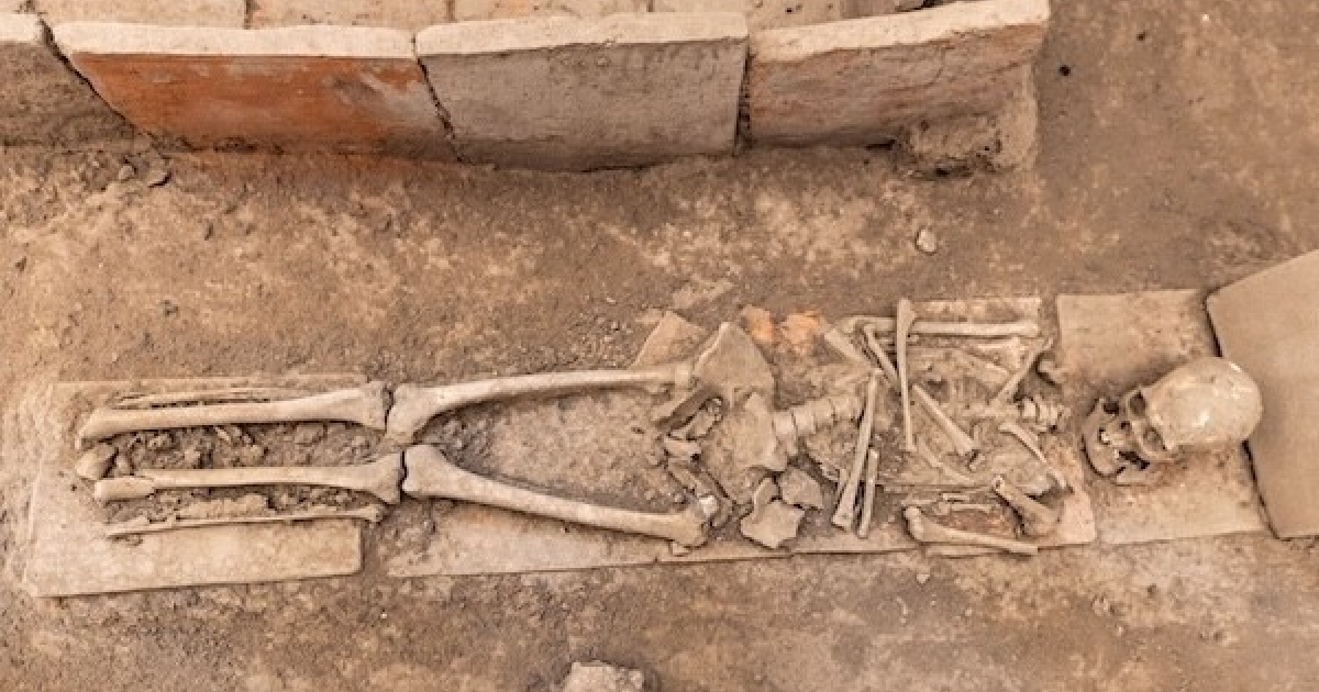 Human skeletal remains from an archaeological burial used in dietary inequality research