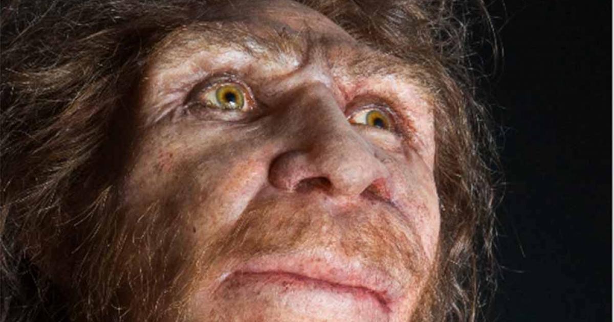 Homo heidelbergensis facial reconstruction.	Source:	Labrado/Adobe Stock	