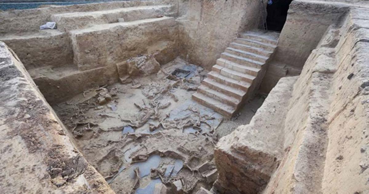 Anthropologist Victoria Peña with the bones found at the Tartessos site in Badajoz