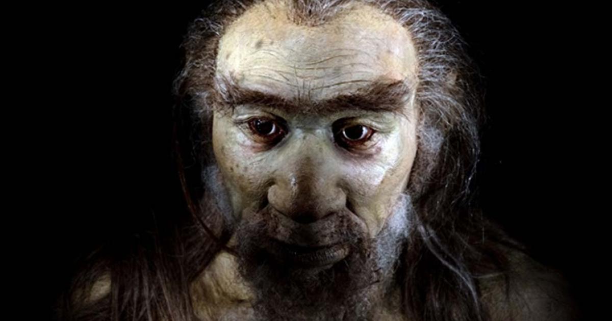 Prehistoric hominid species (Andrea Izzotti / Adobe Stock).