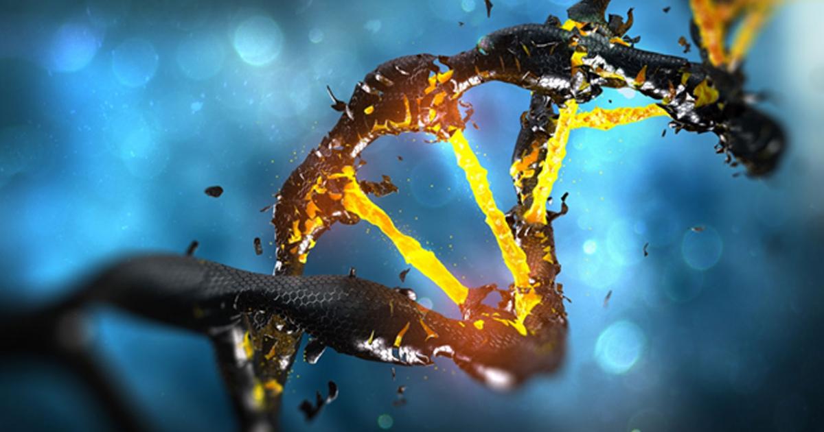 DNA molecule spiral structure with unique connection. 