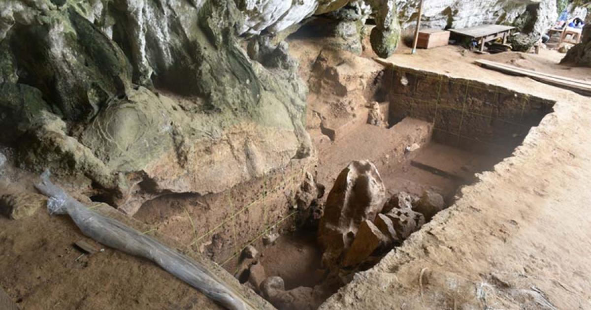 An overview of the trench in the rock-shelter area at Leang Bulu Bettue, Sulawesi, from where the human remains have been excavated.		Source: Brumm et al., 2021, PLoS ONE /CC-BY 4.0 