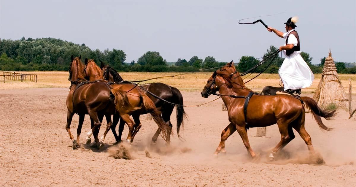 Csikós Hungarian horsemen. Source: Kavita / Adobe Stock.