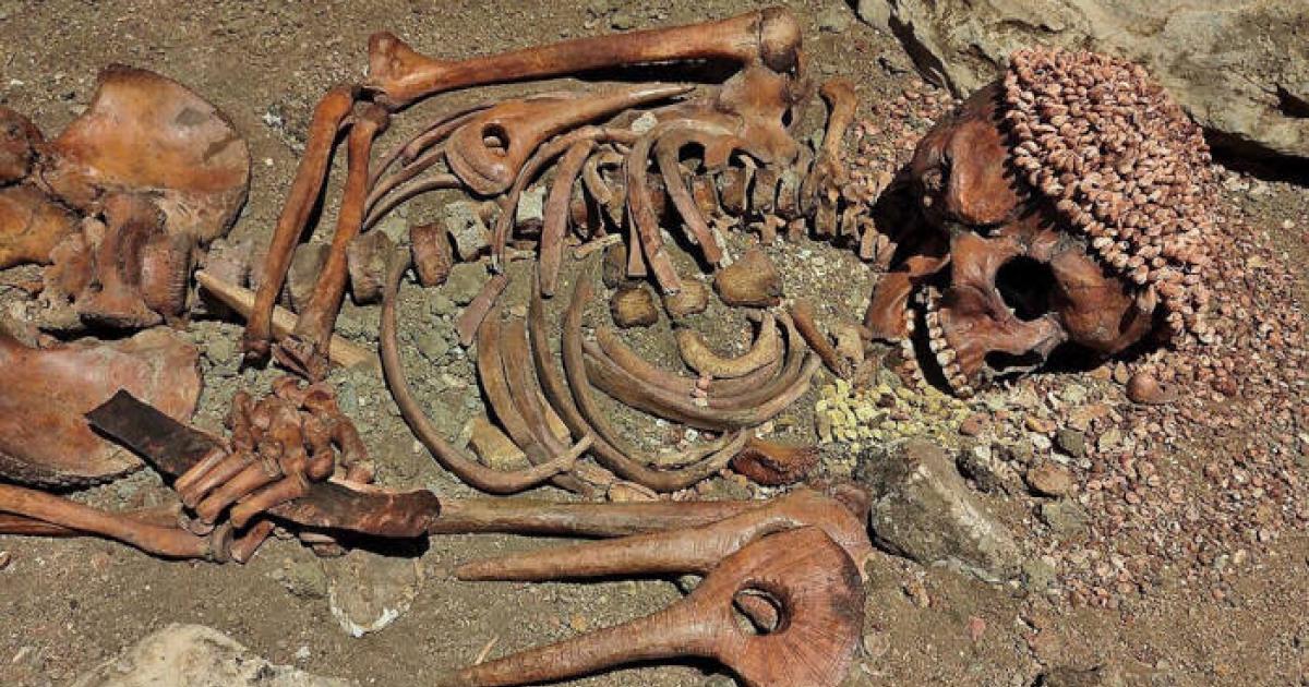 Il Principe (Gravettian adolescent) display at Museo di Archeologia Ligure, Genoa