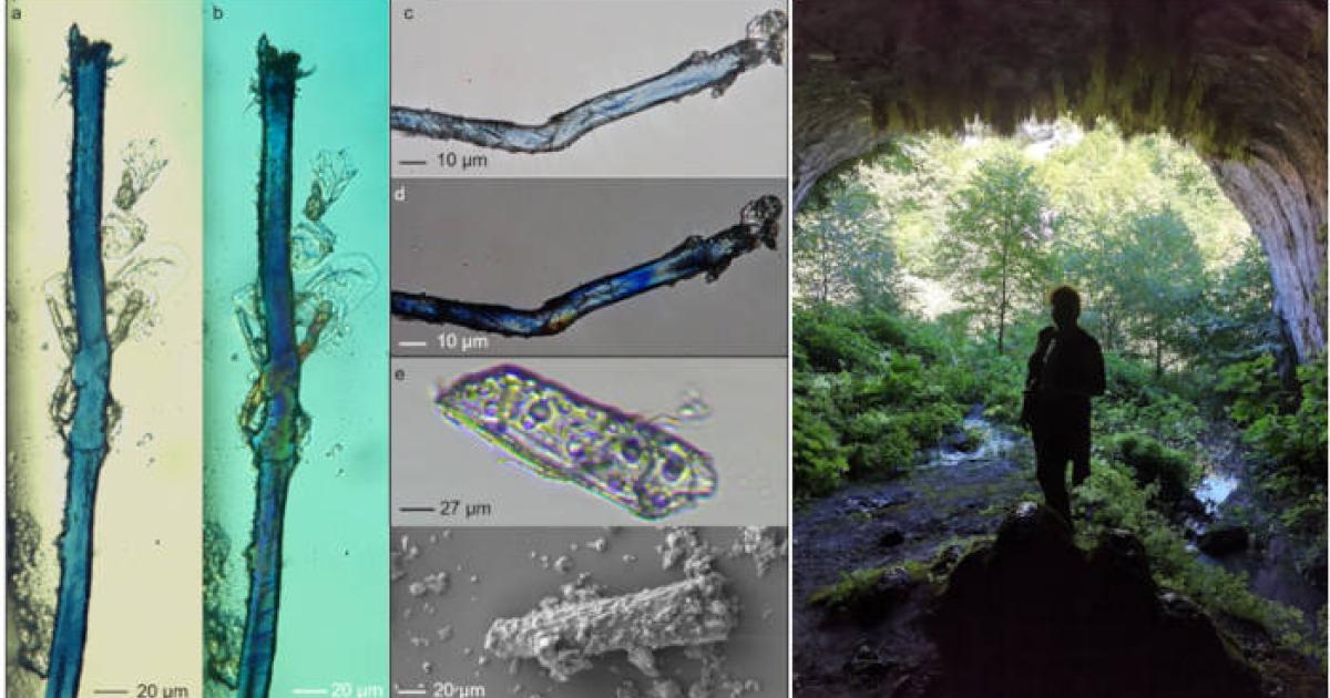 Left; Archaeological elongated blue micro-fragments extracted from the innermost second mold. Right; Laura Longo at the Dzudzzuana Cave entrance, Georgia