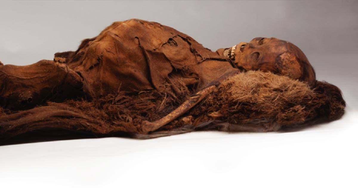 Adult Inuit Mummy Who Was Scanned With Computed Tomography. Source: Courtesy of the Peabody Museum of Archeology and Ethnology, Harvard University, PM 29-10-10/61570.0.