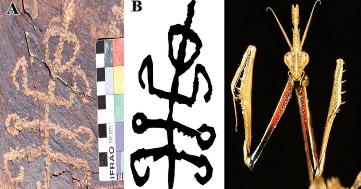 The Squatter / Mantis-Man petroglyph found in Teymareh rock art site, Iran. Right A praying mantis, Empusa hedenborgi.      Source: Dr Mohammad Naserifard / Mr Mahmood Kolnegari