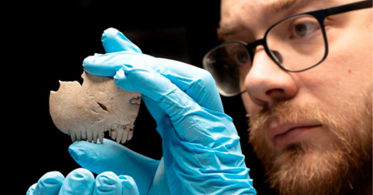 The Iron Age comb found in Cambridge, UK.	Source: MOLA