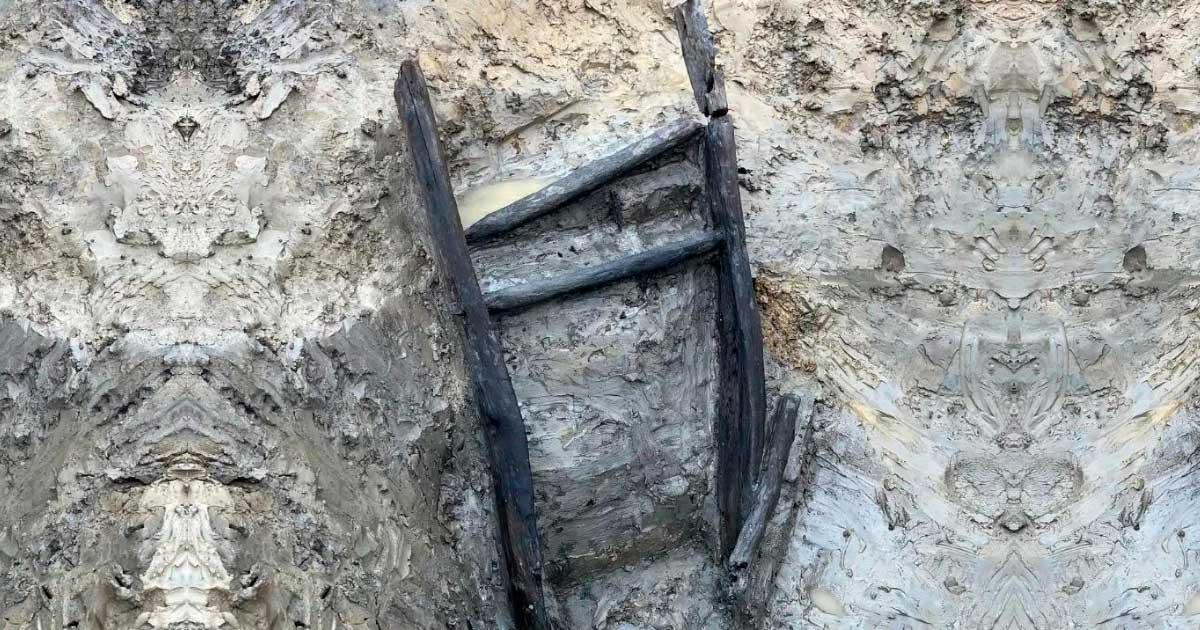 Iron Age ladder found during excavations near a roundhouse in Bedfordshire, England. (MOLA)