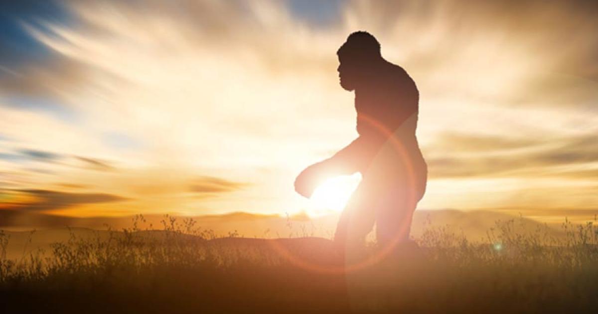 Is Bigfoot Real? Emerging Scientific Evidence
