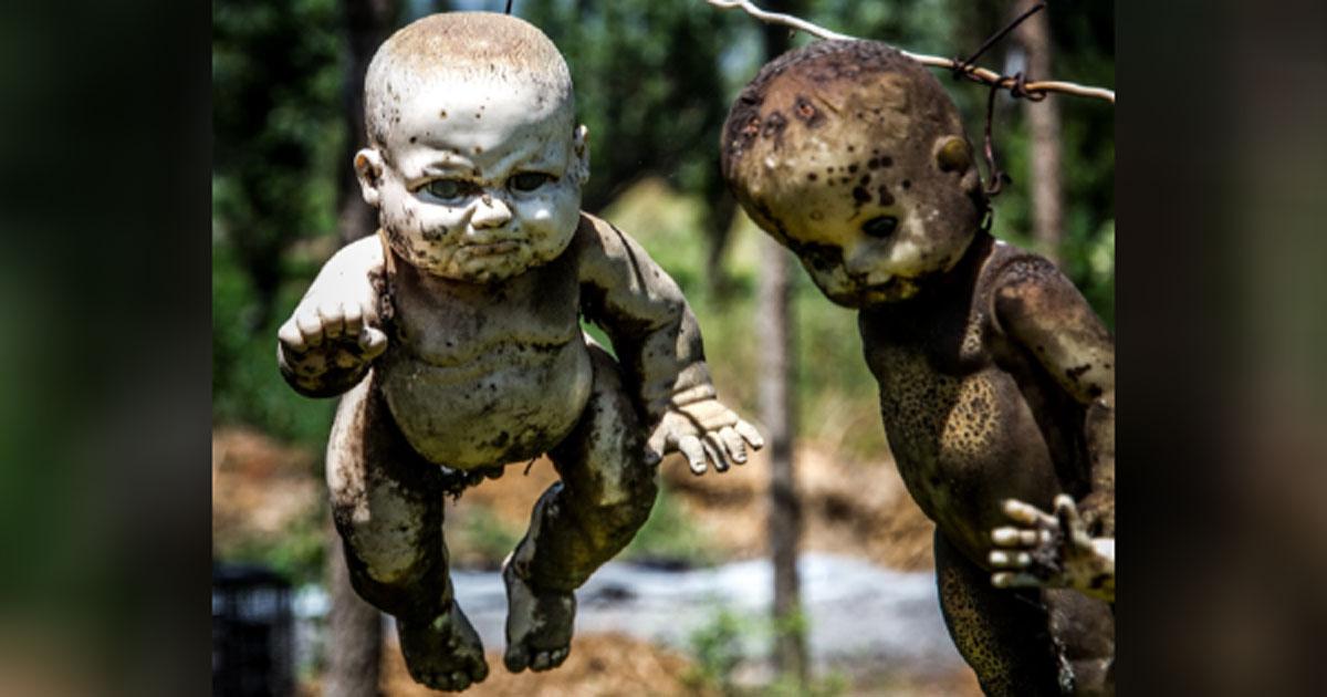When collecting dolls for the Island of Dolls, Santana Barrera did not make any effort to clean them or to fix them up; once obtained he would hang them on the island’s trees.