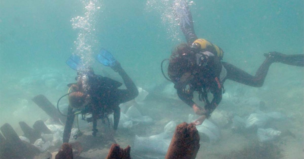 Marine archaeology students examine the pottery near the bulkhead at the Israeli shipwreck. Source: A. Yurman/Leon Recanati, Institute for Maritime Studies of the University of Haifa