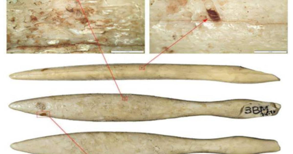 The hippopotamus ivory object from northeastern Iberia.