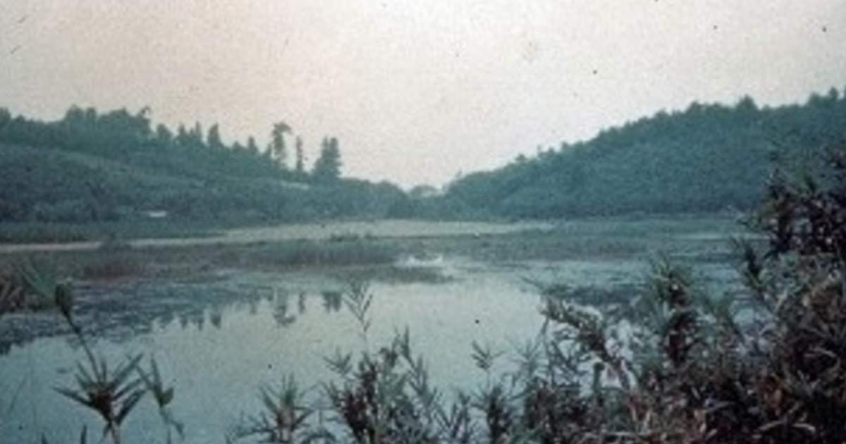 Archaeological site of Iwajuku