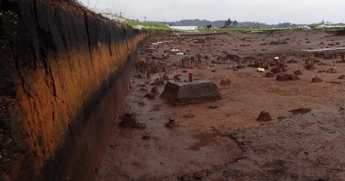 Kikai-Akahoya volcanic deposit in southern Kyushu, the “disaster layer” of volcanic ash that runs across the landscape