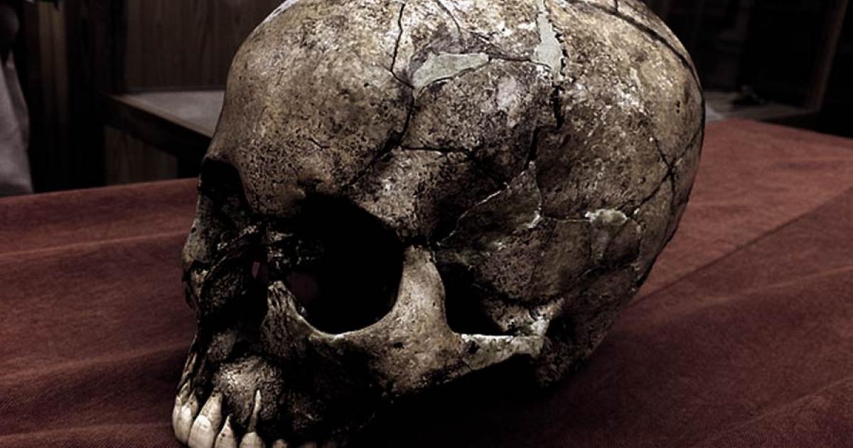 One of the ancient Japanese skulls from which DNA was extracted. Credit: Shigeki Nakagome / Trinity College Dublin