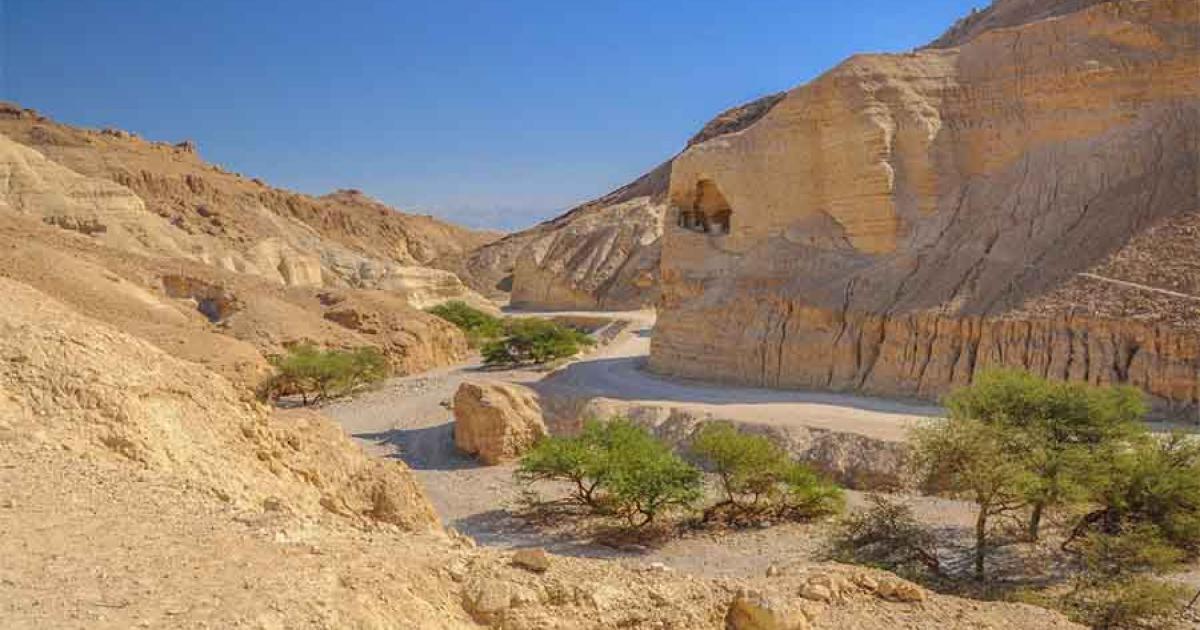 It was in a canyon like this one in the Judean Desert in the West Back of Israel that archaeologists found two ancient Jewish coins (one from 67 AD and one from circa 135 AD). That the coins were found in the same area rewrites existing assumptions about the Jewish revolts against the Romans in an area assumed to be uninhabited after the first Jewish revolt stage.  