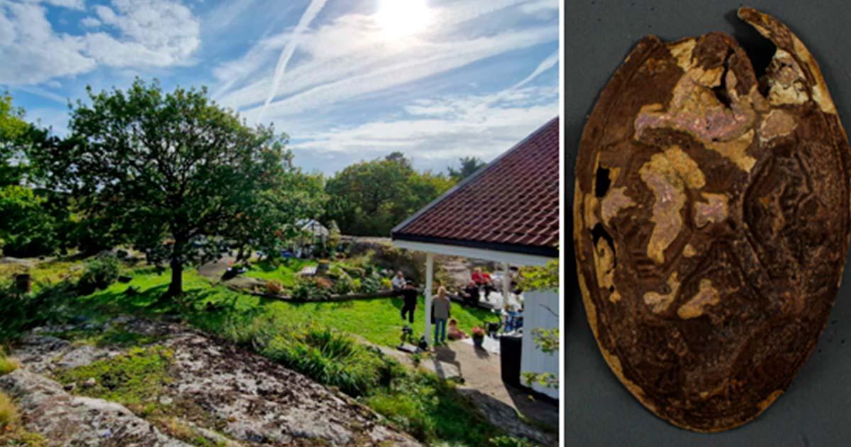 The Aasvik family discovered the Jomfruland artifacts while hunting for their mother’s earing in the garden. Source: Vibeke Lia Vestfold and Telemark County Municipality