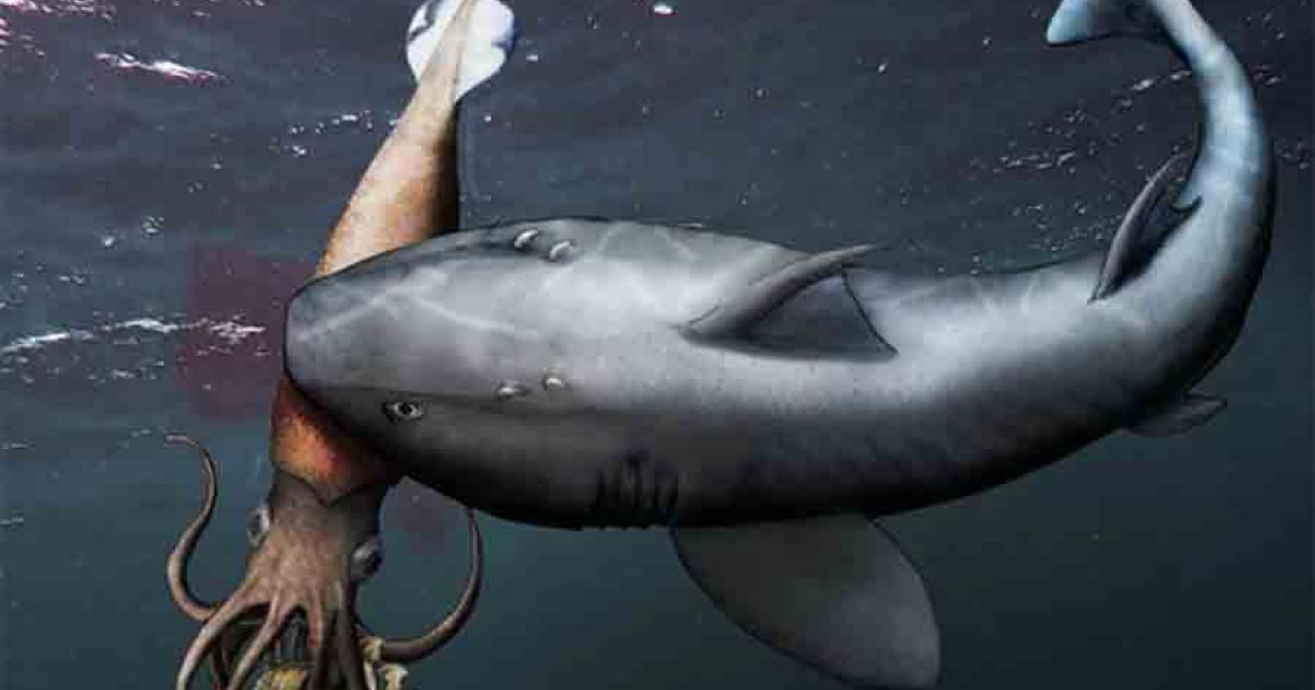 Epic Jurassic Era Fossil Shows a Predator in Action Being Preyed Upon