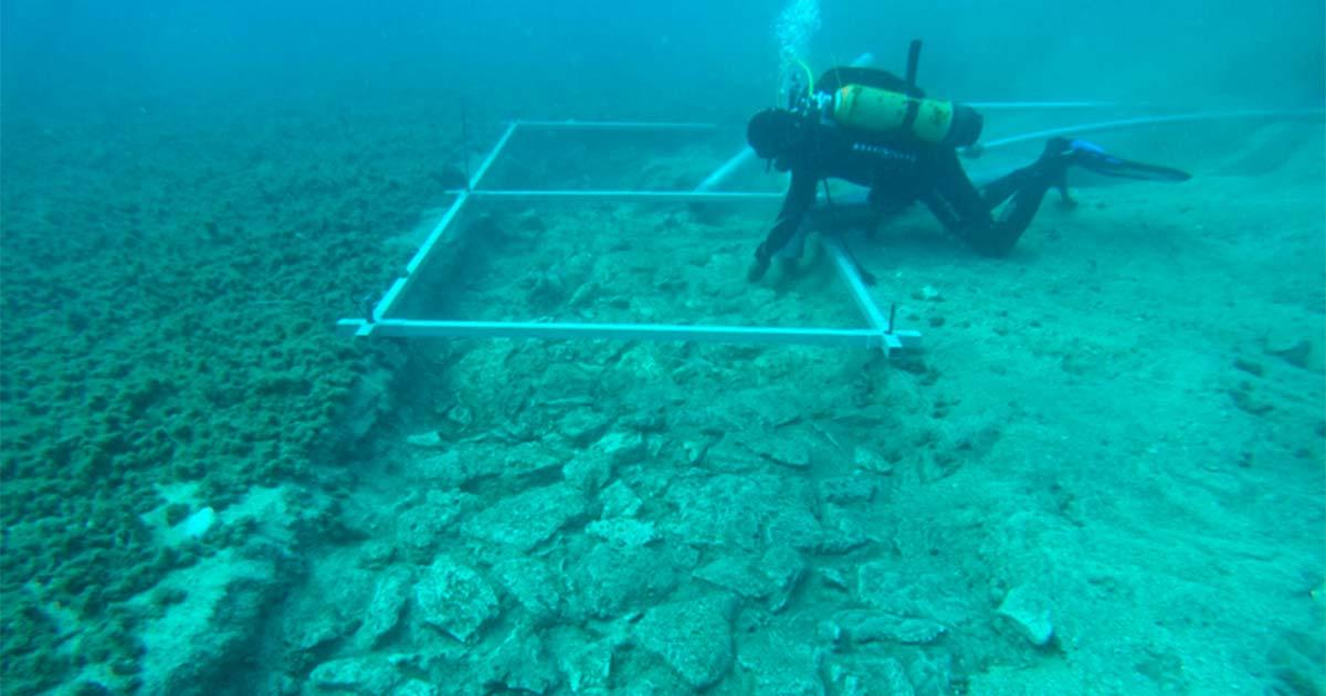 Below the deposits of sea mud, a marine archaeologist studies a road that once connected an offshore prehistoric settlement to mainland Korčula Island. Source: Sveučilište u Zadru