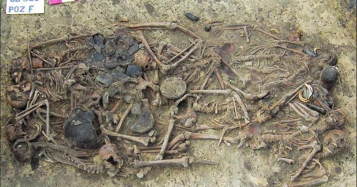 The mass grave of 15 skeletons and grave goods at the Koszyce burial. Source: H Schroeder et al / PNAS.