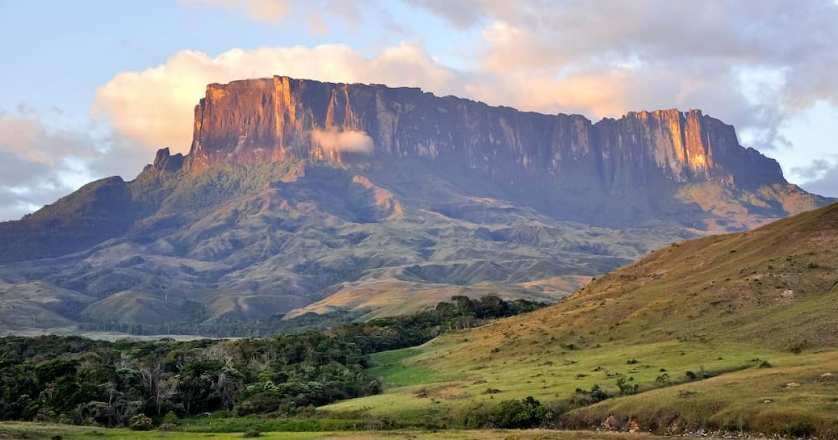 A beautiful, wide-angle shot of the neighboring Kukenan tepui at sunset, showing the massive, seemingly "cut" flat top and vertical walls glowing in golden light. Excellent representation of the tepui structure.