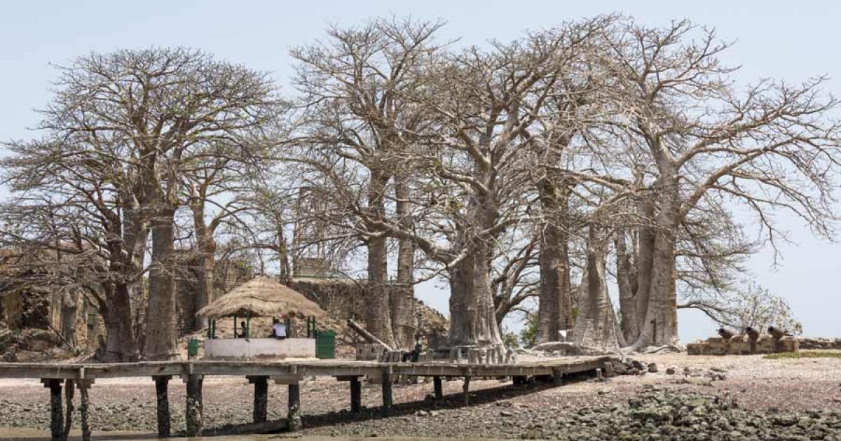 Kunta Kinteh Island in Gambia. Source: s-aznar / Adobe Stock