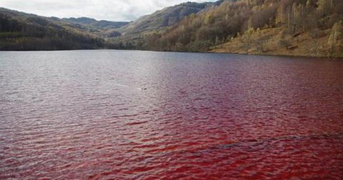 A red lake. Representational image only.
