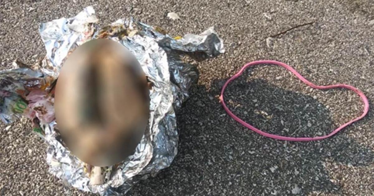 The brain was found wrapped in aluminum foil on the shore of Lake Michigan in the USA. Source: James Senda