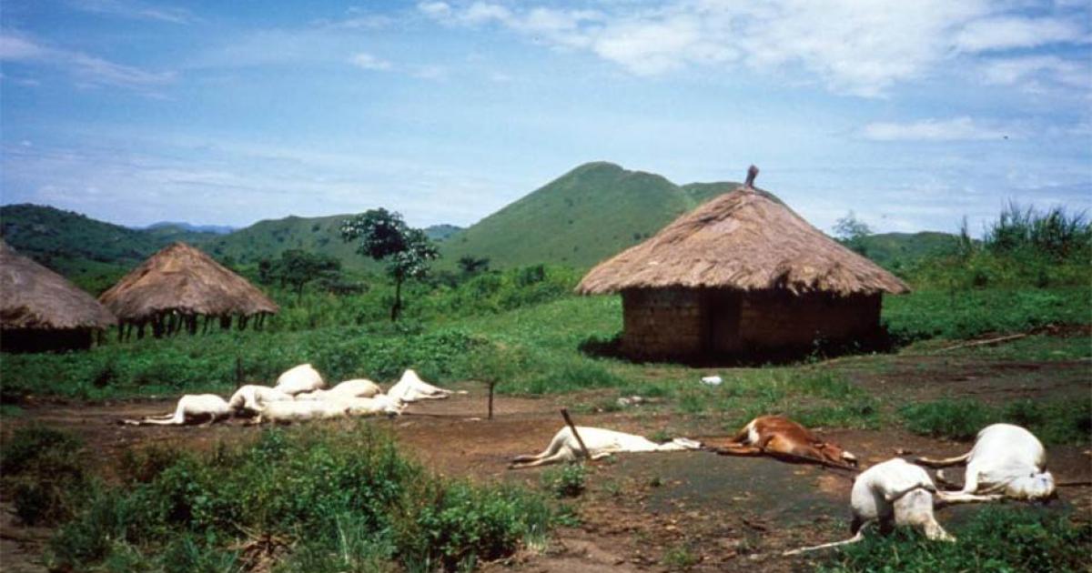 Lake Nyos Tragedy: A Deadly Demonic Fog in Cameroon