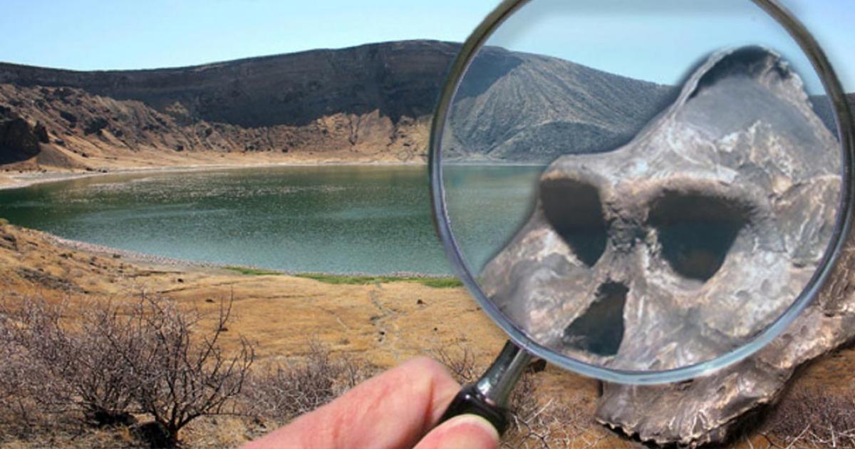 Deriv; Lake Turkana - Central Island - Flamingo Lake (CC BY-SA 3.0), aranthropus aethiopicus fossil hominid found at Lake Turkan