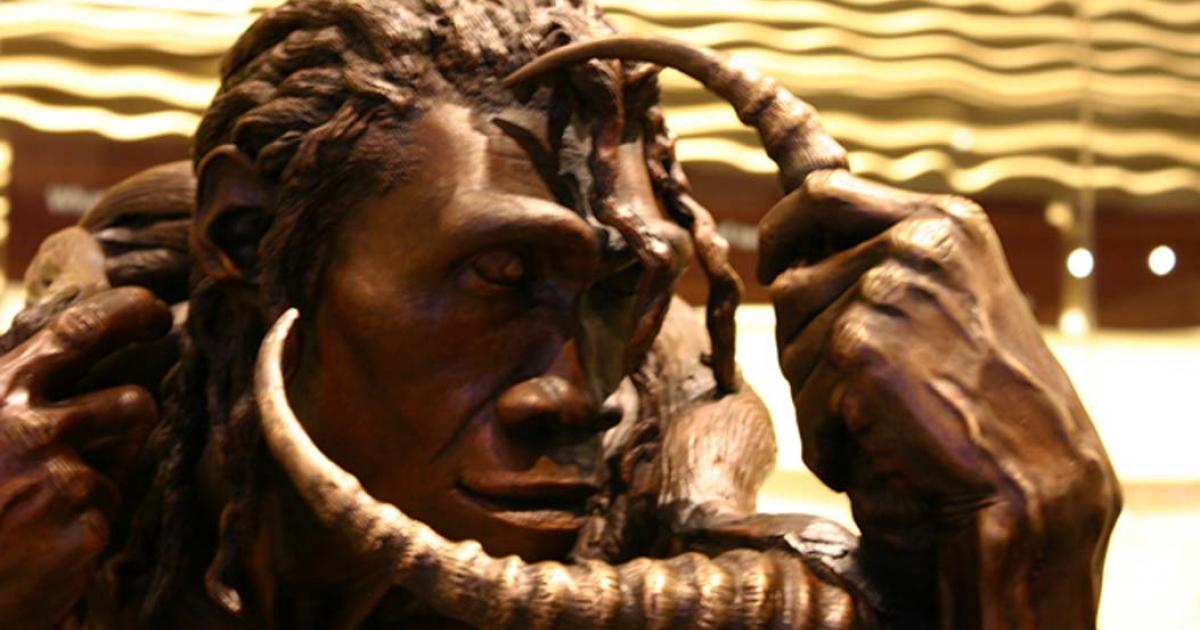 Homo erectus statue, taken at David H. Koch Hall of Human Origins as the Smithsonian Natural History Museum.