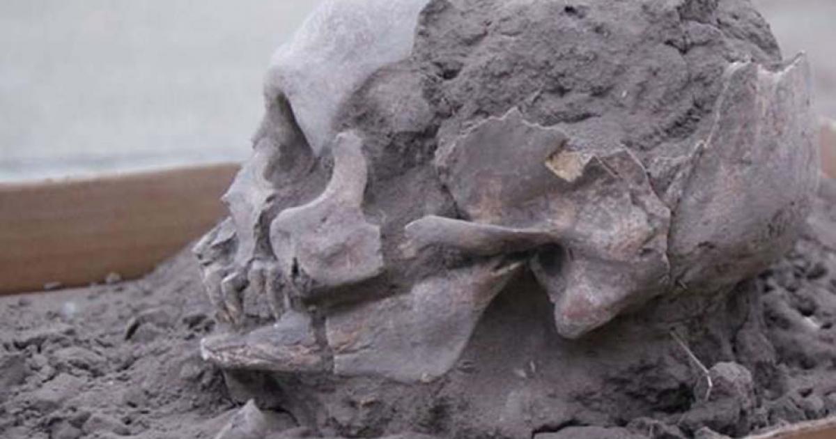 A Las Vegas culture skull excavated in Loma Atahualpa, Ecuador in 2018 is part of the oldest burials found in the country to date.