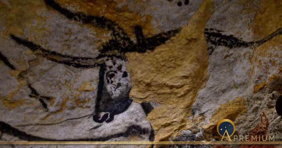Head of aurochs in the Lascaux caves in France. Source: bobdu11 / Adobe Stock
