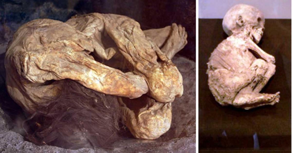 The Lemon Grove Mummies: Ancient Corpses from Mexican Cave Found in California Garage