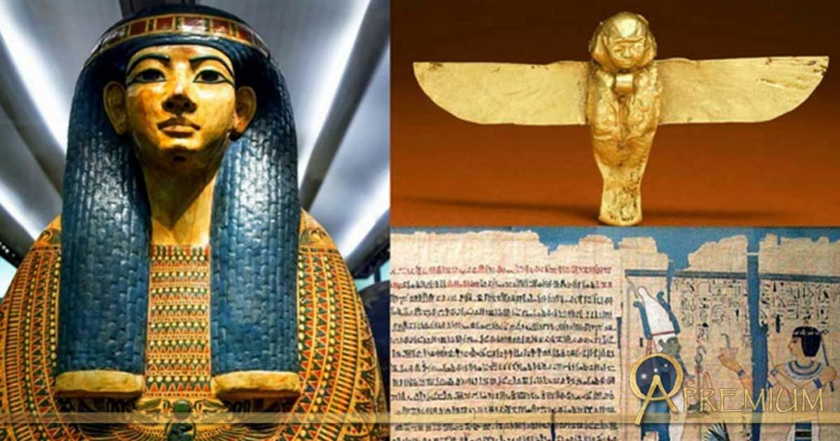 Collection of Egyptian Art, design by Anand Balaji