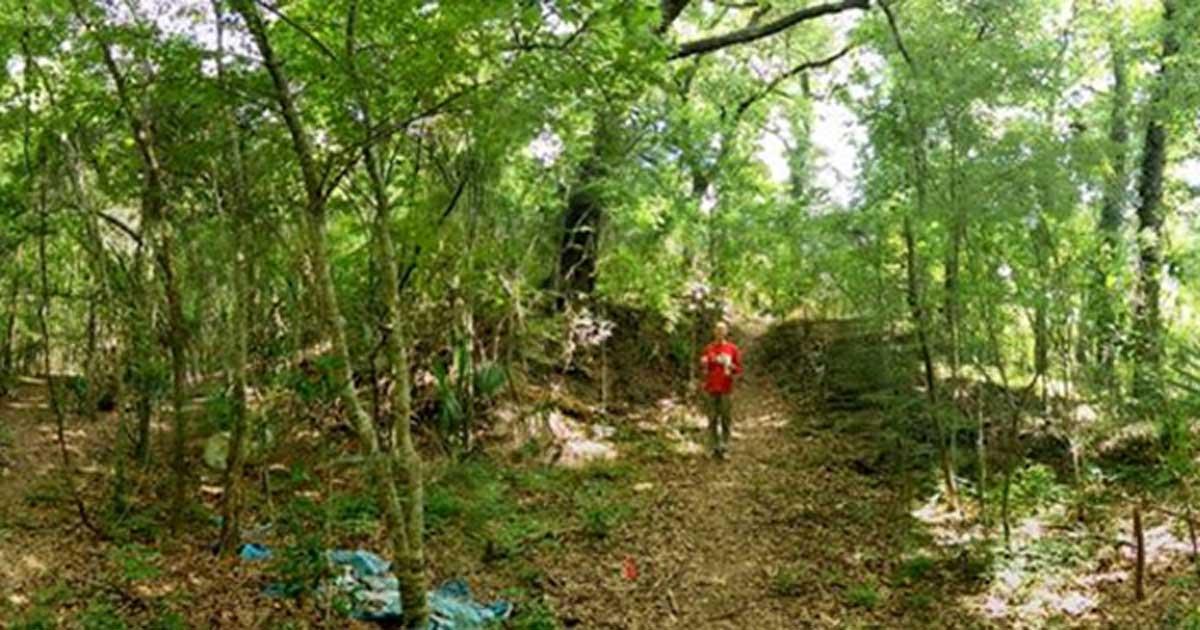 The mound at Grand Caillou. 