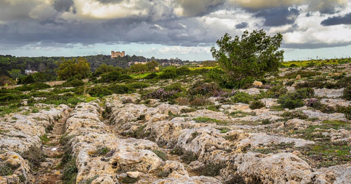 Maltese cart ruts near Buskett, Malta, with Verdala Palace visible in the distance.  