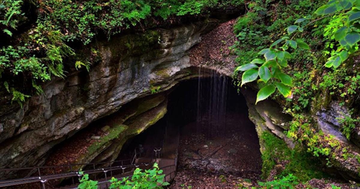 Mammoth Cave: An Underground Attraction That Sparked a War in Kentucky ...