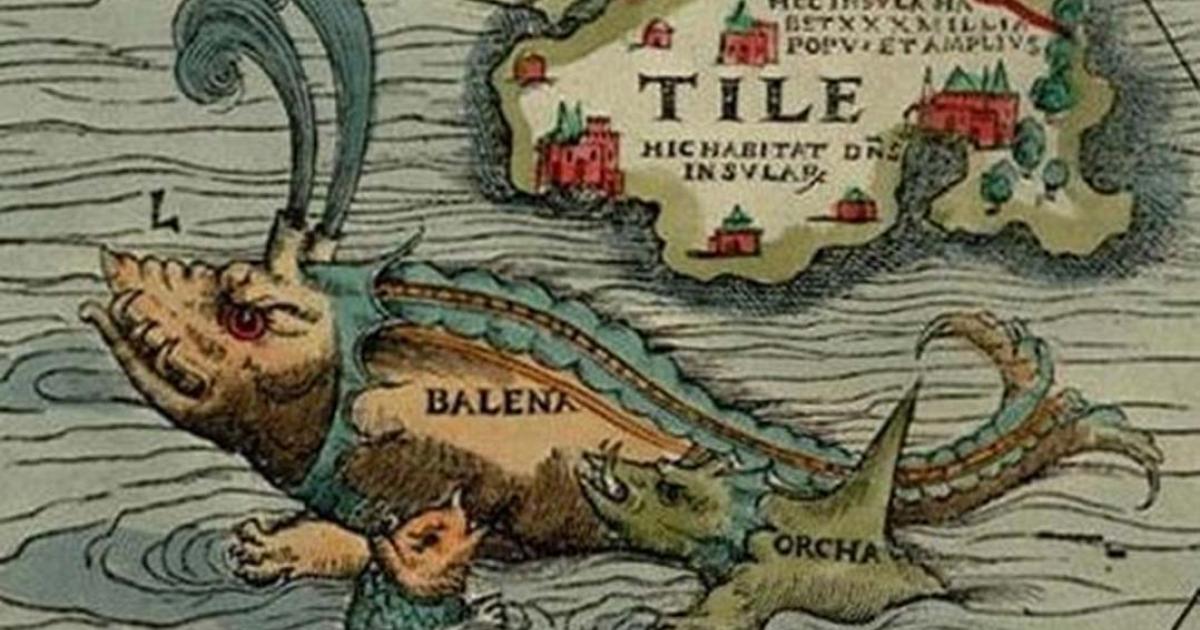 Orcas attacking a whale, from Carta Marina (1539)