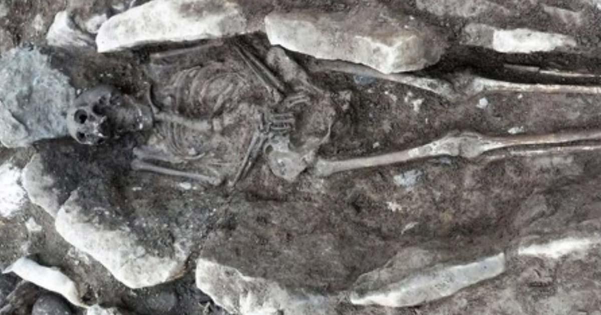 One of the skeletons found beneath Coleg Menai in Llangefni, Wales. Credit: Archaeology Wales. 