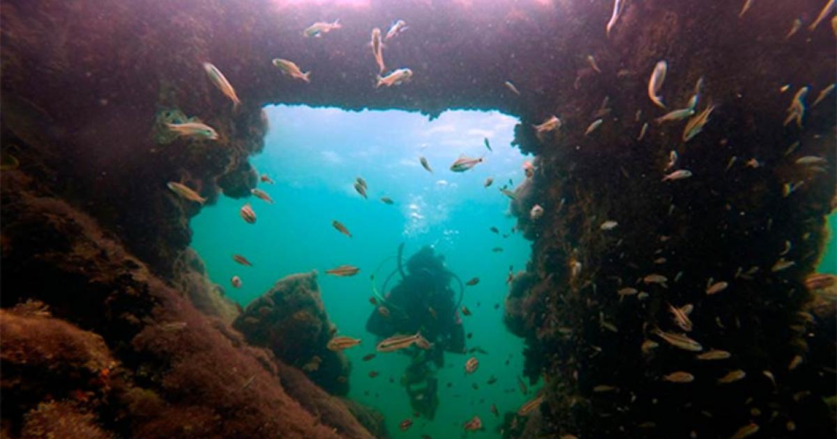 The shipwreck found in the Gulf of Mexico has been identified as being the wreck of La Unión, a steamship used to take Maya slaves to Cuba in the aftermath of the War of the Castes. In the image a marine archaeologist inspects the detail of the seesaw steam engine off the coast of Sisal, Mexico. Source: Helena Barba / INAH