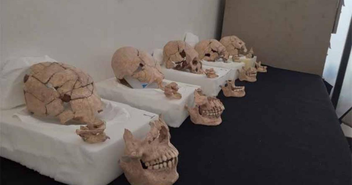 The decapitated skulls were found at the Maya Moral-Reforma site in Mexico. Source: INAH